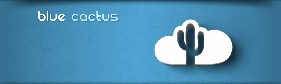 blue cactus backups - online data backup solution